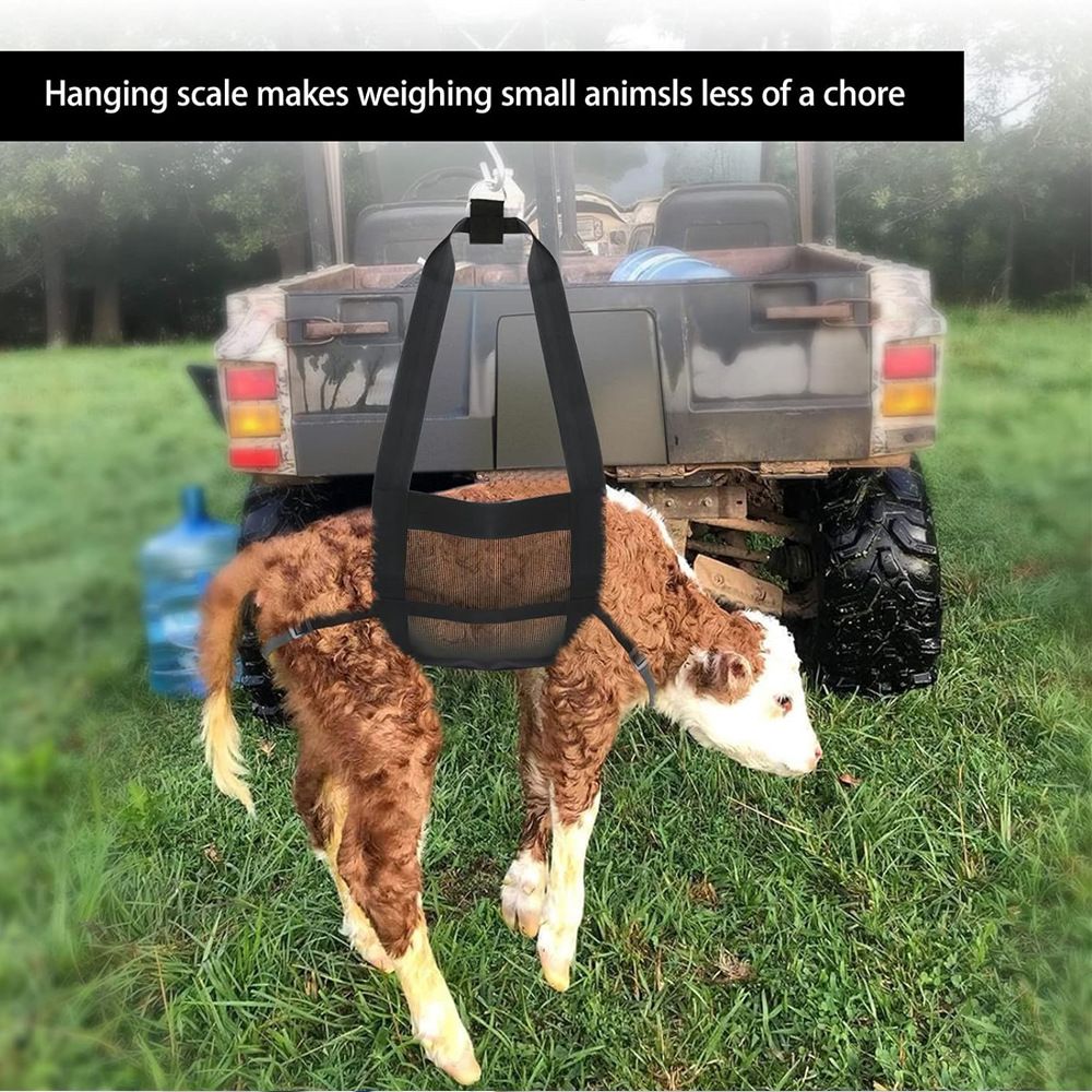 Calf Sling for Weighing Animals - Calf Scale Hanging Weight Scale Sling with view 5