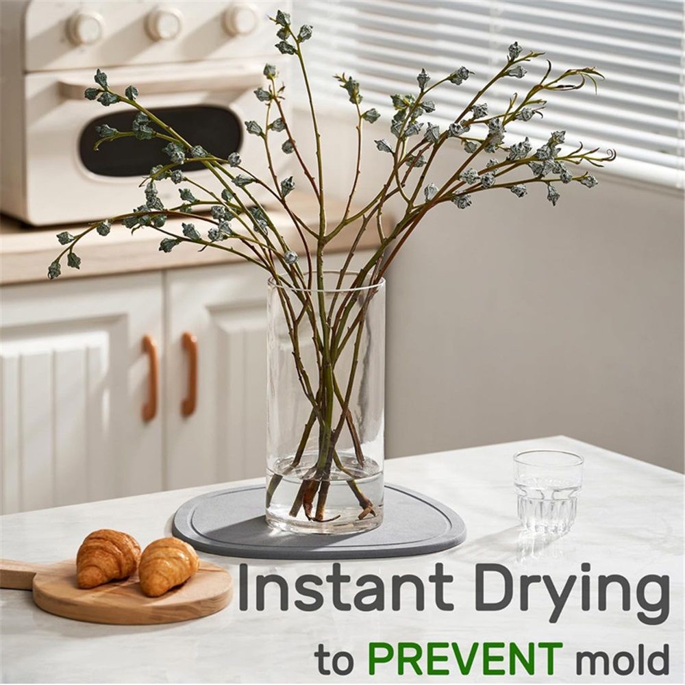 Diatomaceous Earth Plant Saucer for Indoor view 3