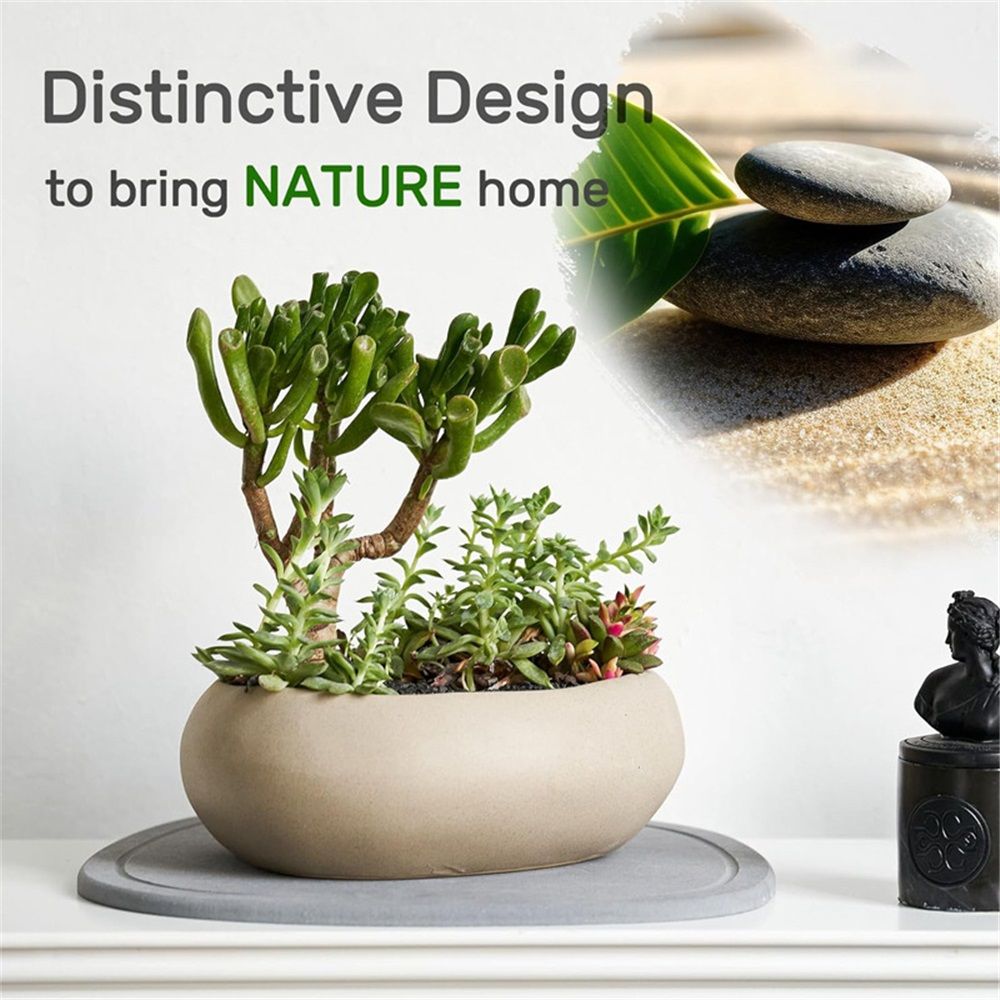 Diatomaceous Earth Plant Saucer for Indoor view 5