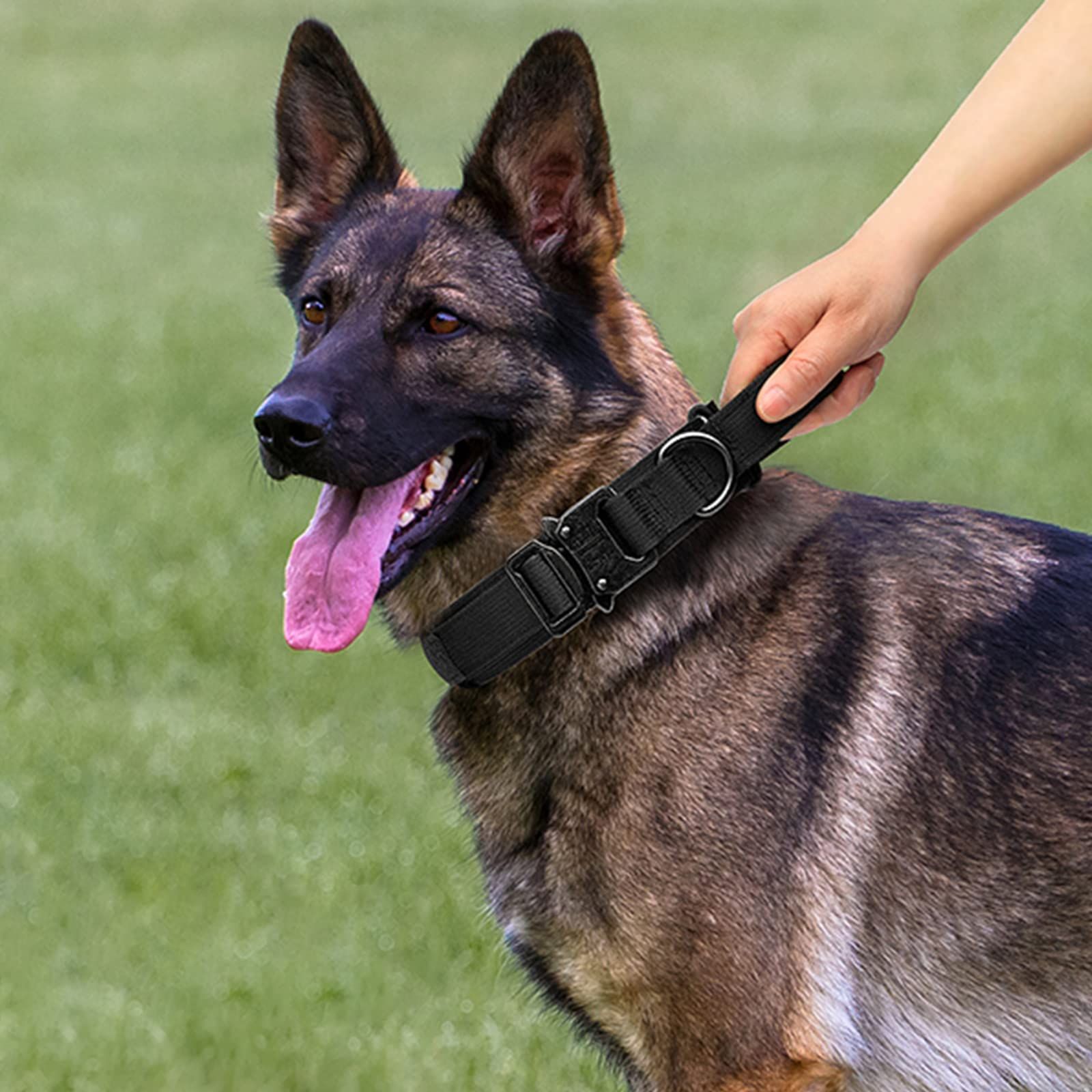 Dog Collar and Leash Set Heavy Duty Military Dog Collar with Handle and Metal view 2