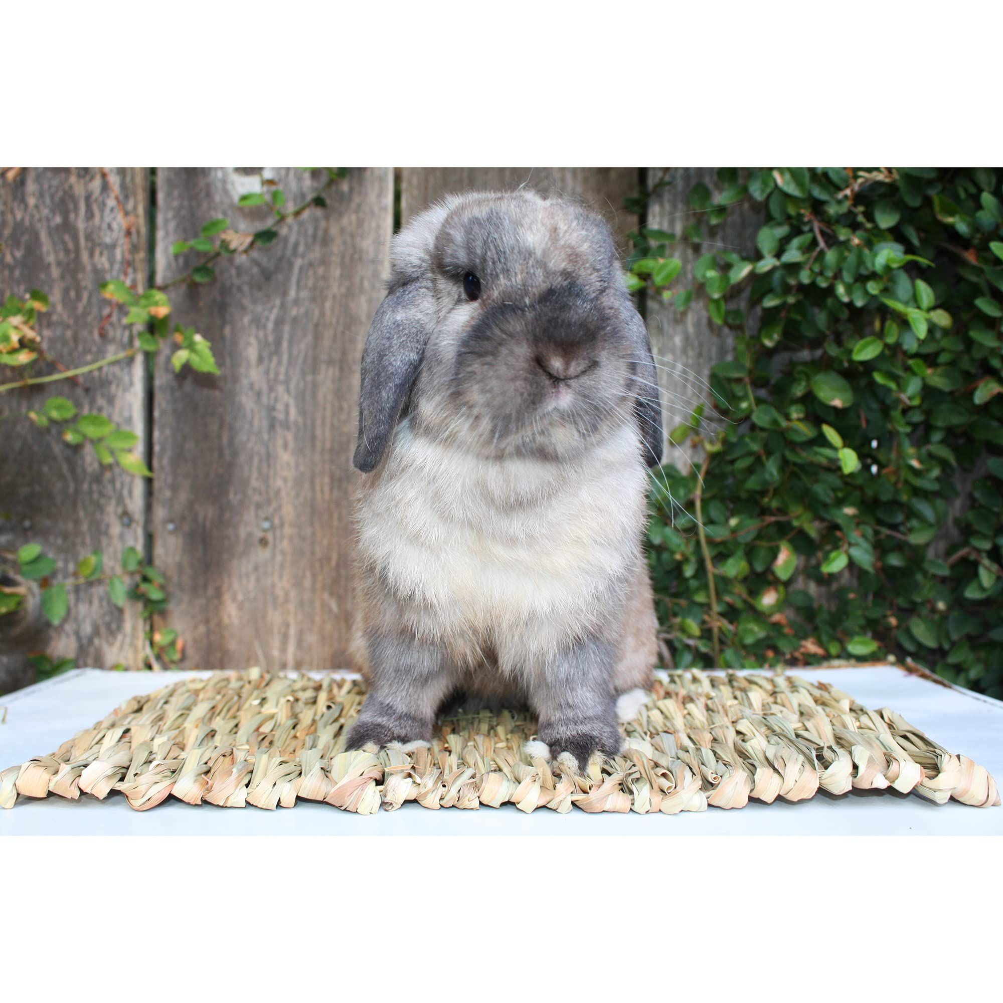 2pcs Woven Grass Mat - All Natural Chewable Grass Mat for Small Pets Pig Foot view 3