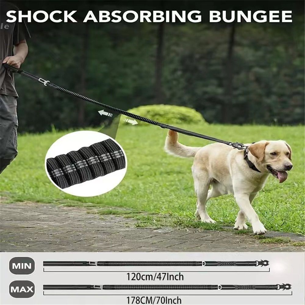 Dog Leash Heavy Duty, Shock Absorbing Bungee Lead with 2 Padded Handle, Metal view 4