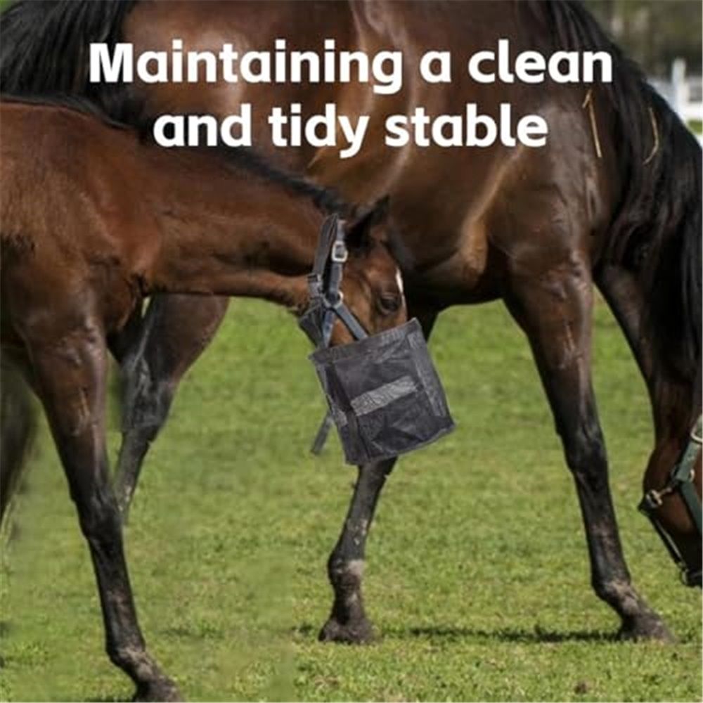 Horse Feed Bag Pack of 2 view 5