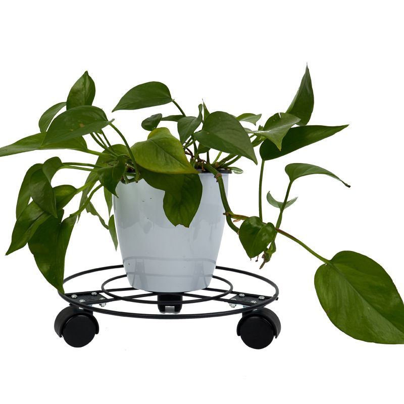 Plant Caddy with 360° Removable Caster Wheel view 2
