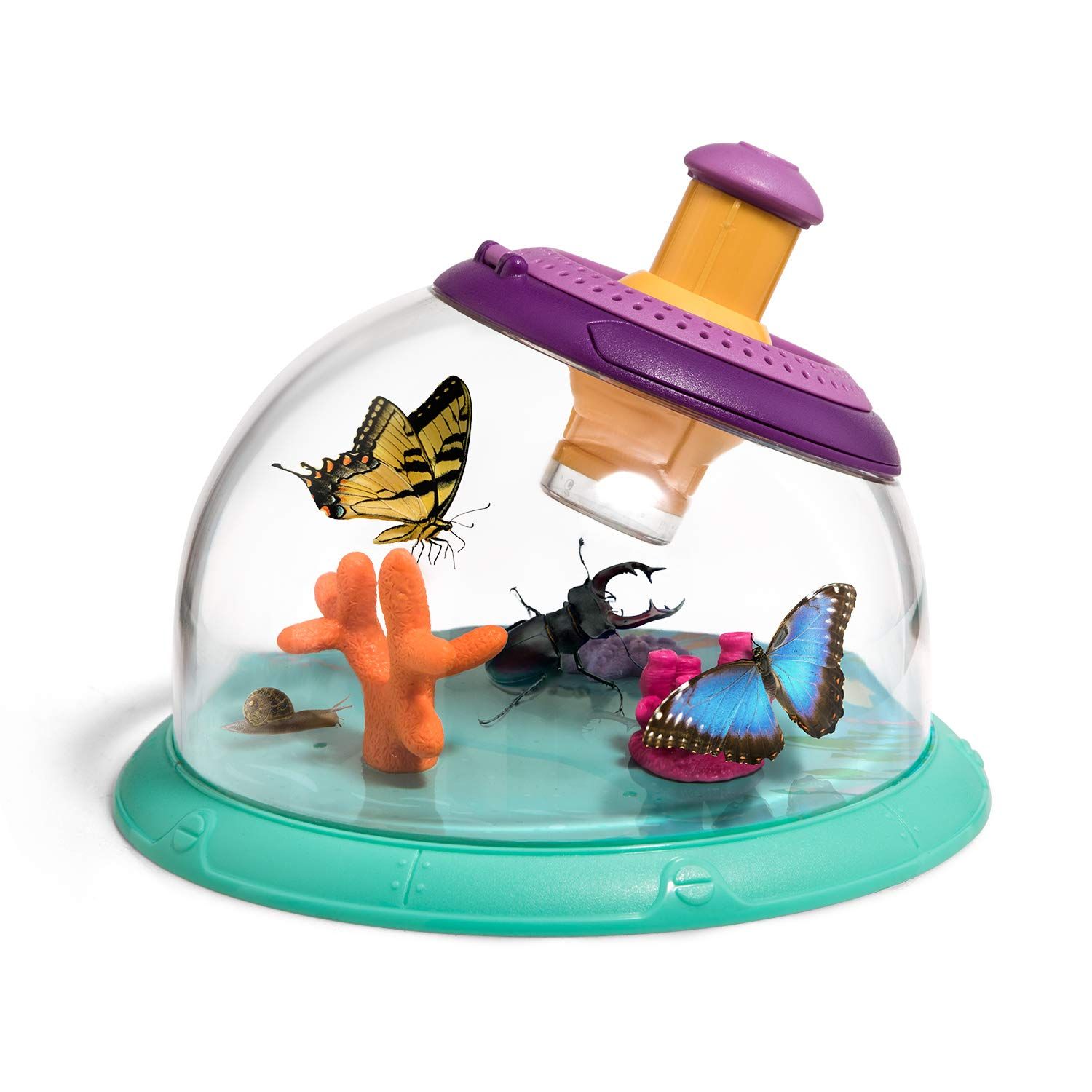 Bug Catcher Kit for Kids