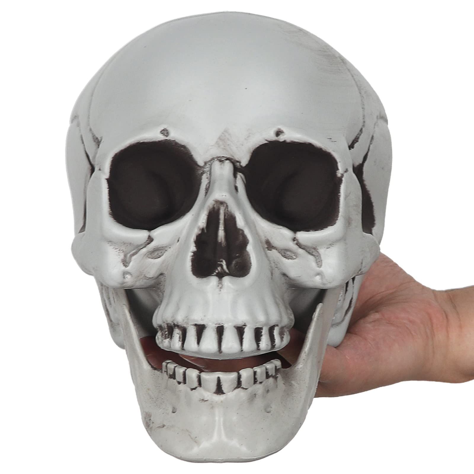 Realistic Human Skull Model 1:1 Skeleton Halloween Outdoor Decoration Prop