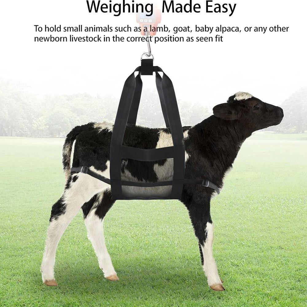 Calf Sling for Weighing Animals - Calf Scale Hanging Weight Scale Sling with view 2