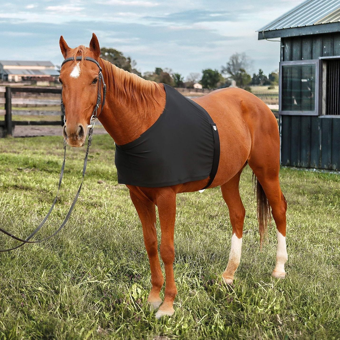 Horse Shoulder Guard, High Elastic Spandex Fabric Horse Vest - Anti-Rub Bib view 2