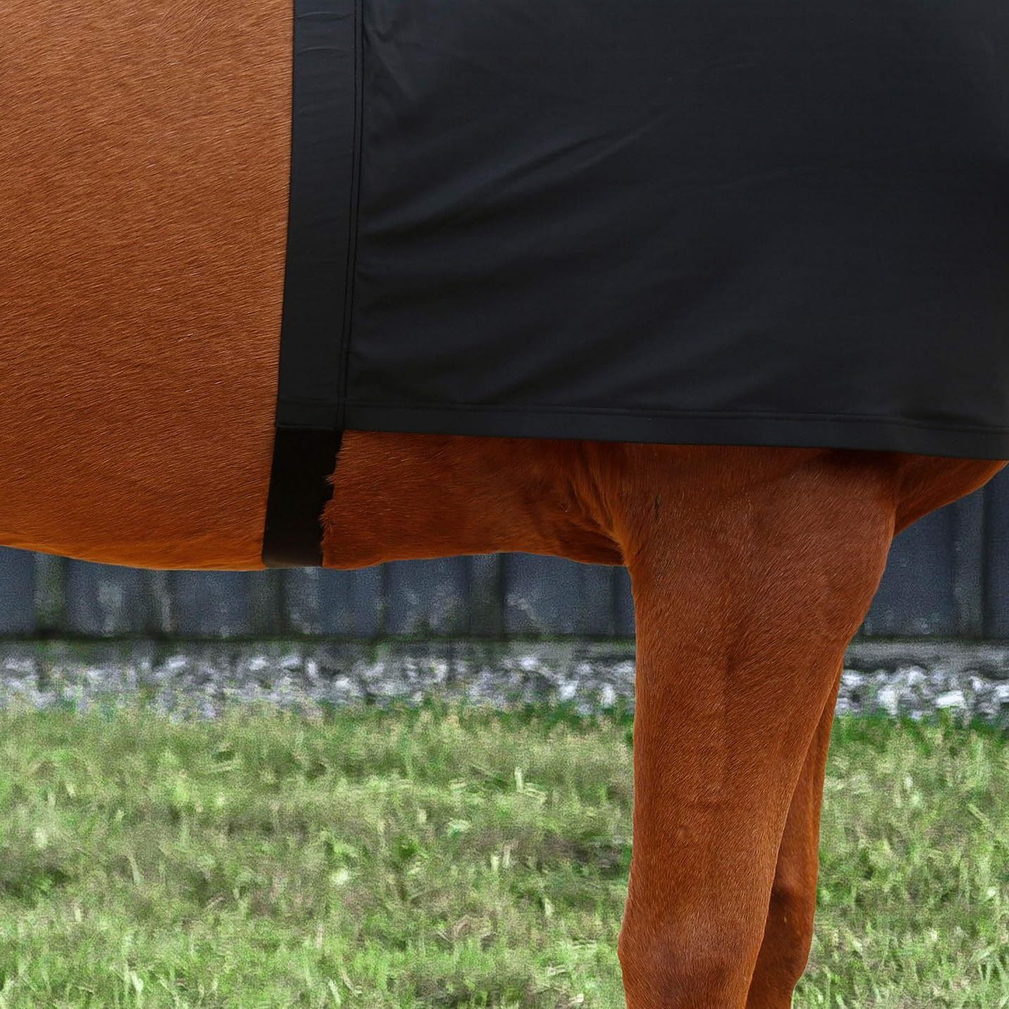 Horse Shoulder Guard, High Elastic Spandex Fabric Horse Vest - Anti-Rub Bib view 3