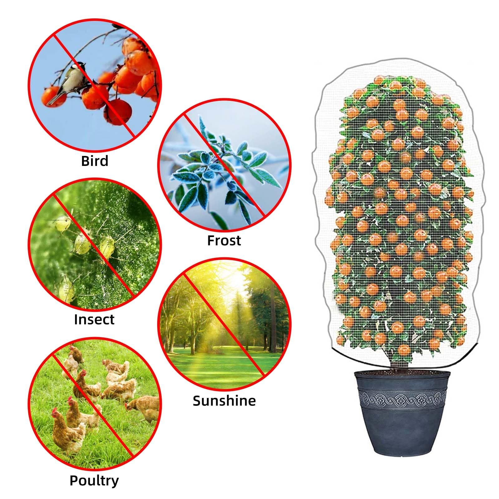 Garden Mesh Netting for Plants view 3
