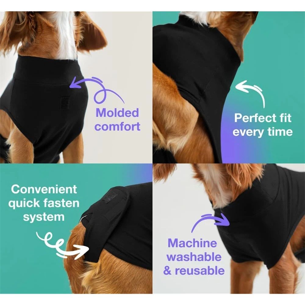 Dog postoperative rehabilitation suit view 4