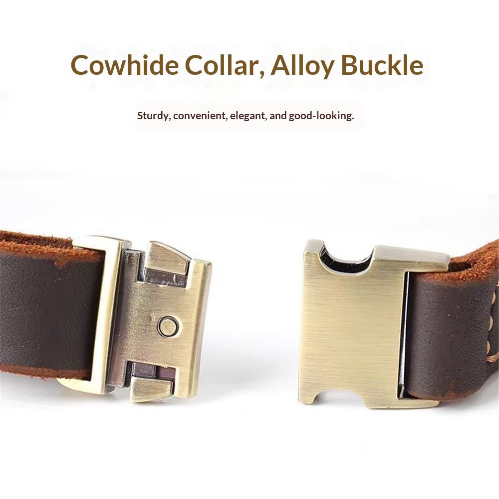 Real Leather Dog Collar, Premium Adjustable Fit with Durable Buckle, Stylish view 4