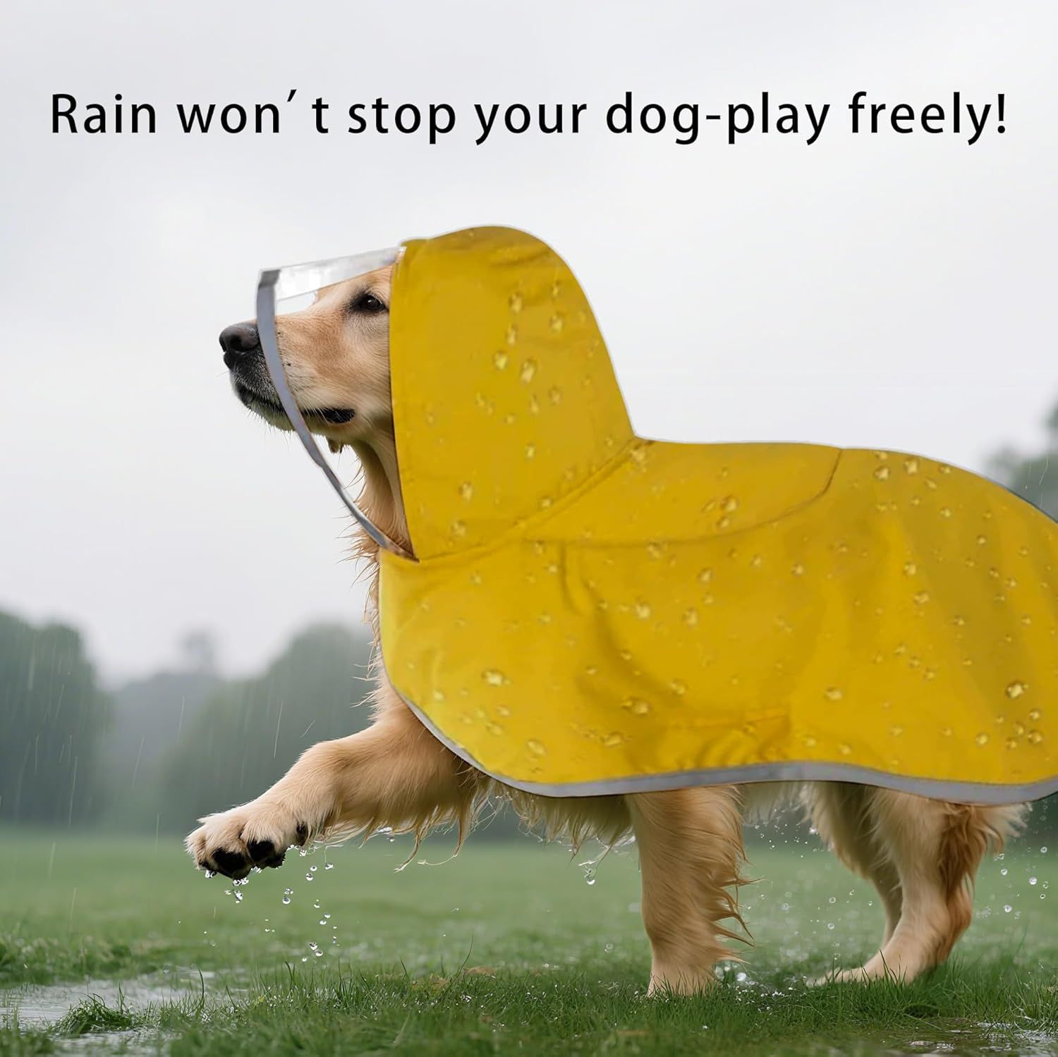 Dog Raincoat, Adjustable Dog Rain Jacket Clear Hooded Double Layer, Waterproof view 2