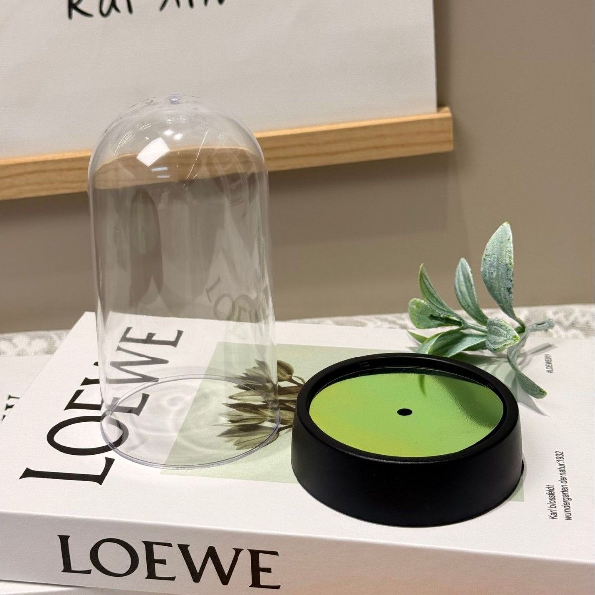 acrylic Display Dome Cloche view 3