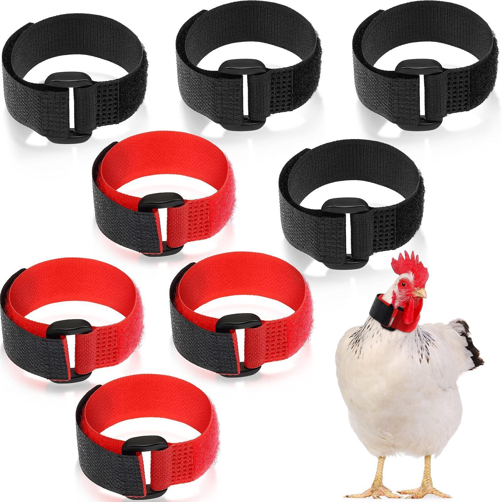 8 pack Bag Rooster Collar — image 1
