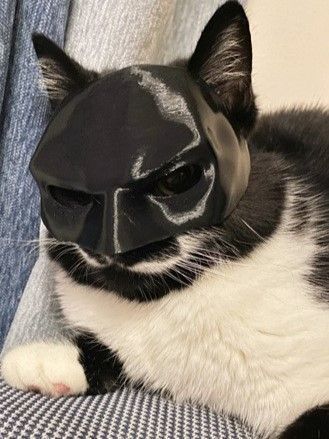 Pet Cat Decorative Face Mask, Photo Accessory For Holiday Party Events, Red view 2
