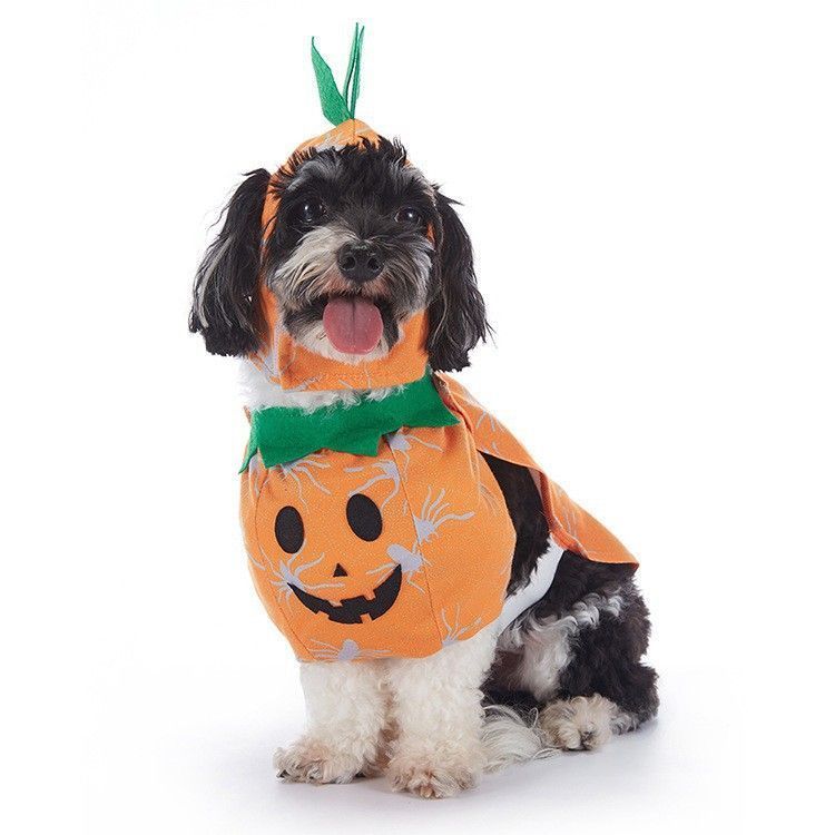 Festive Dress Outfit For Cats and Dogs