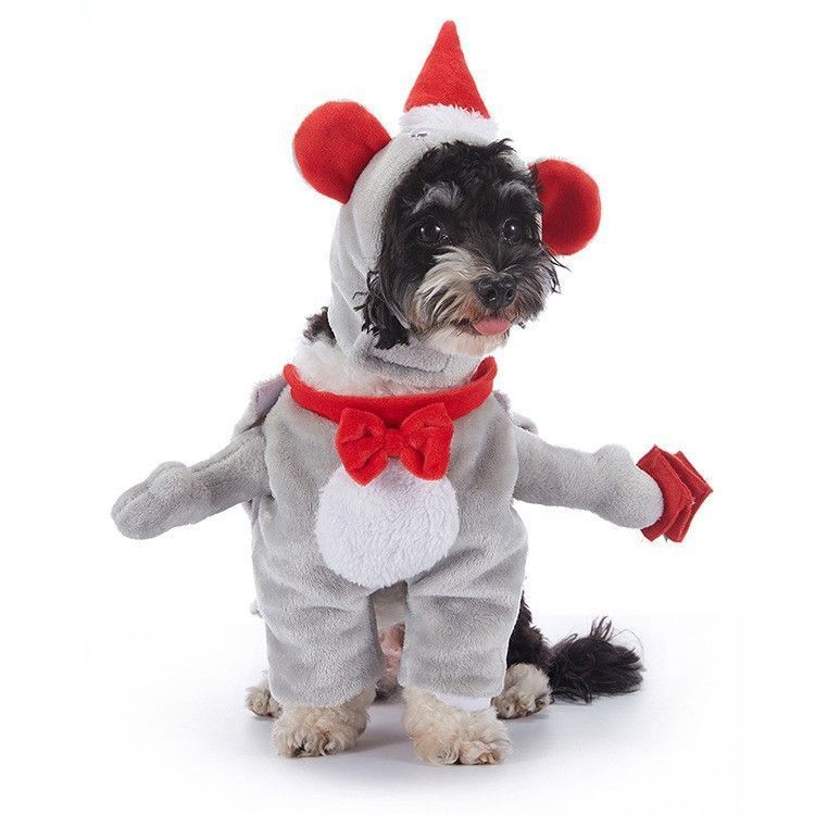 Indoor Party Wear For Cats and Dogs