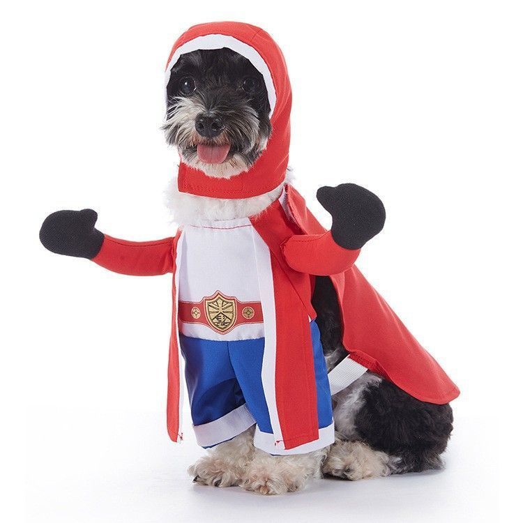 Interactive Party Ornament For Pets