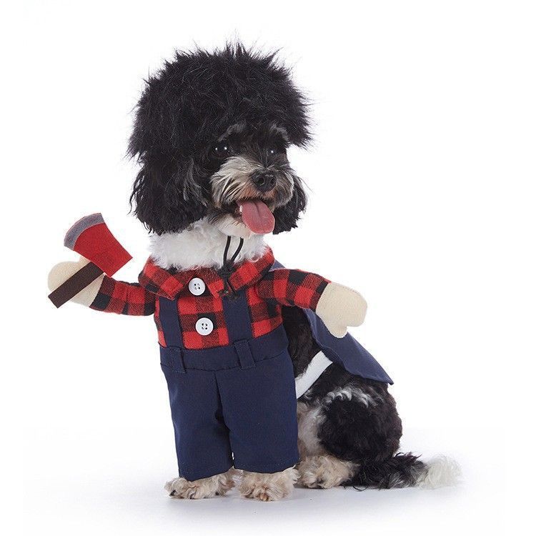 Holiday Event Decor Accessory For Pets