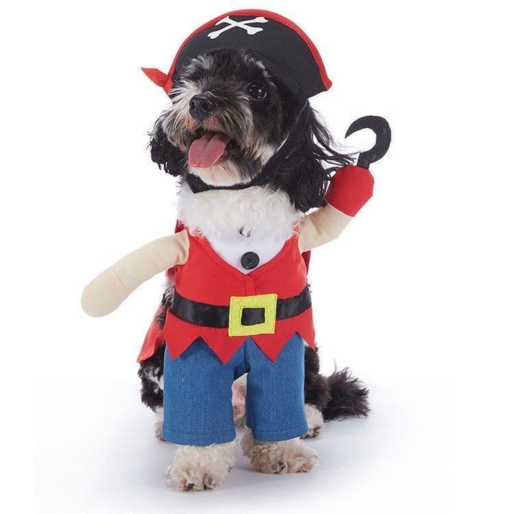 Festival Party Activity Outfit For Pets
