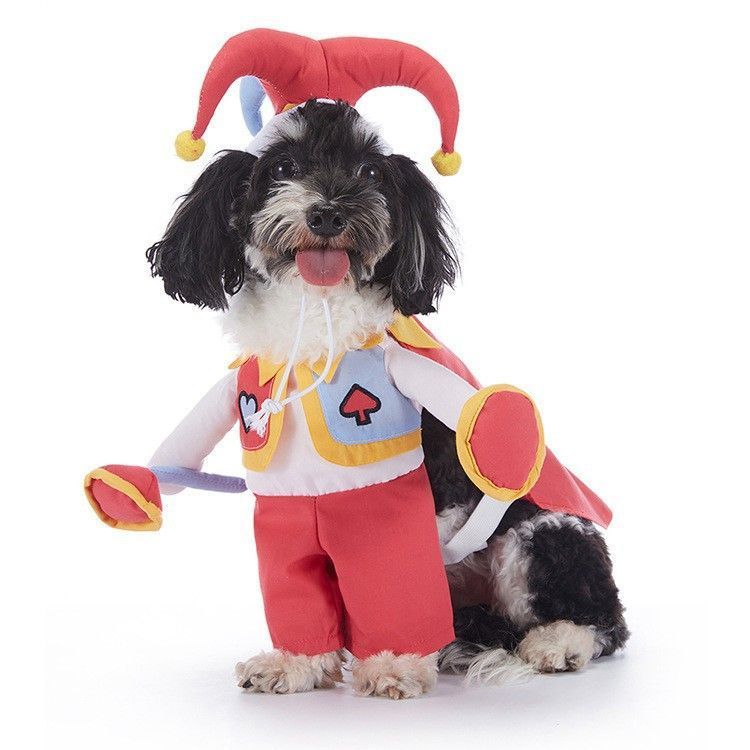 Indoor Festival Party Accessory For Cats and Dogs
