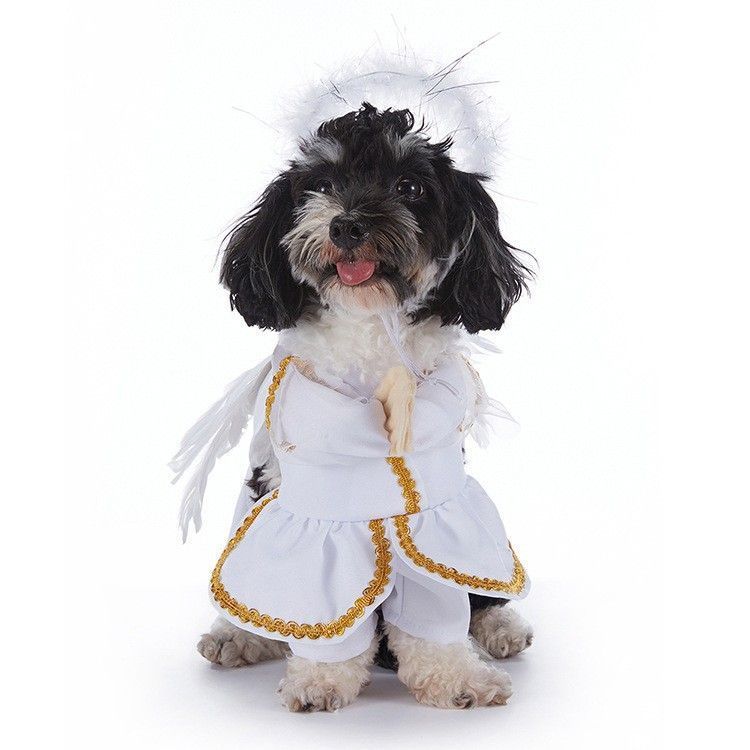 Outdoor Festival Party Decor For Cats & Dogs