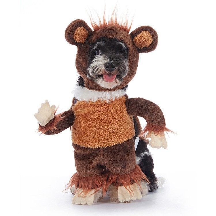 Outdoor Theme Gathering Decor For Cats and Dogs