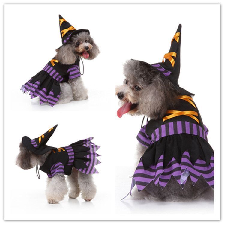 M Size Black Orchid Pet Costume