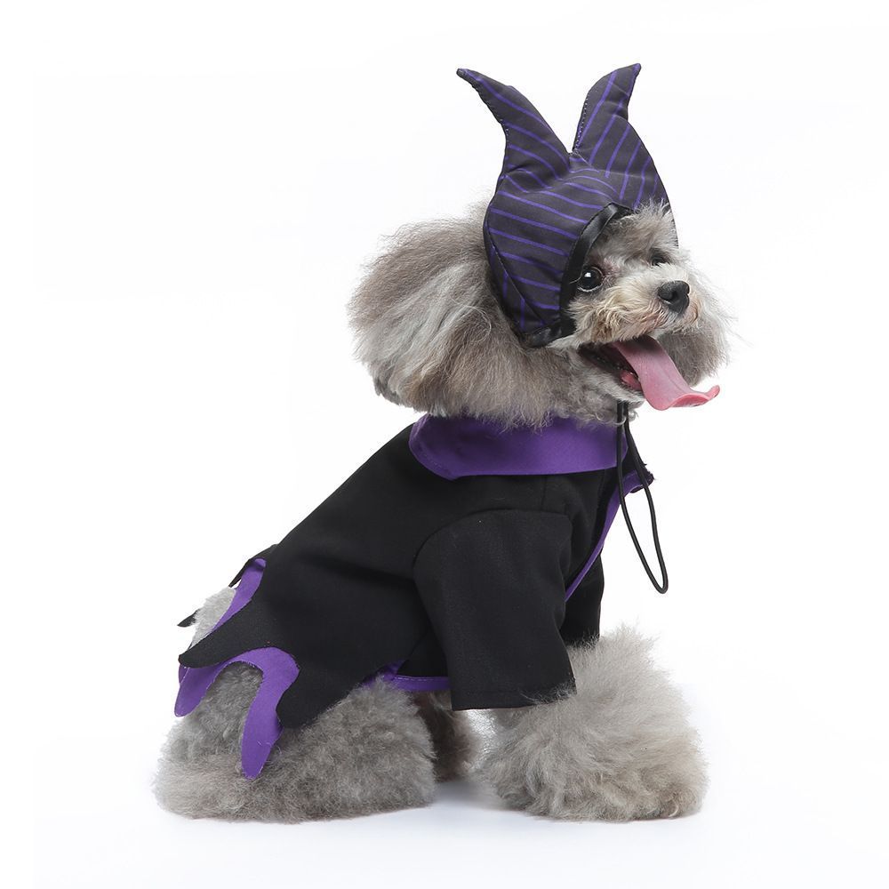 S Size Quartz Shadow Pet Costume