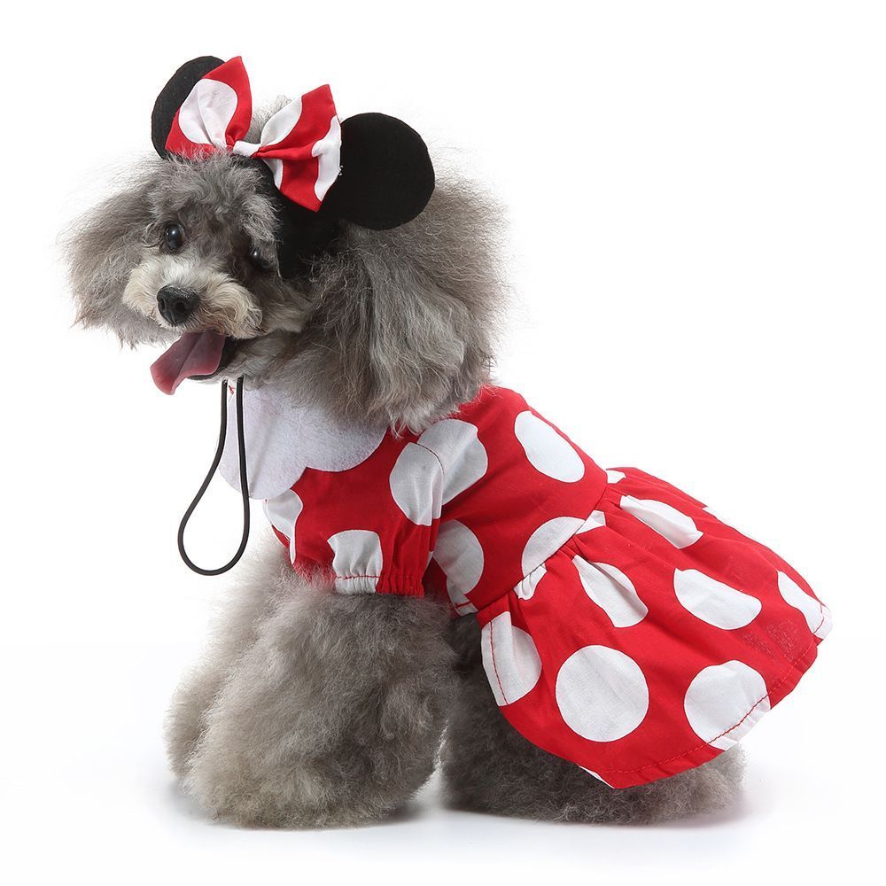 M Size Ultra Polka Pet Costume