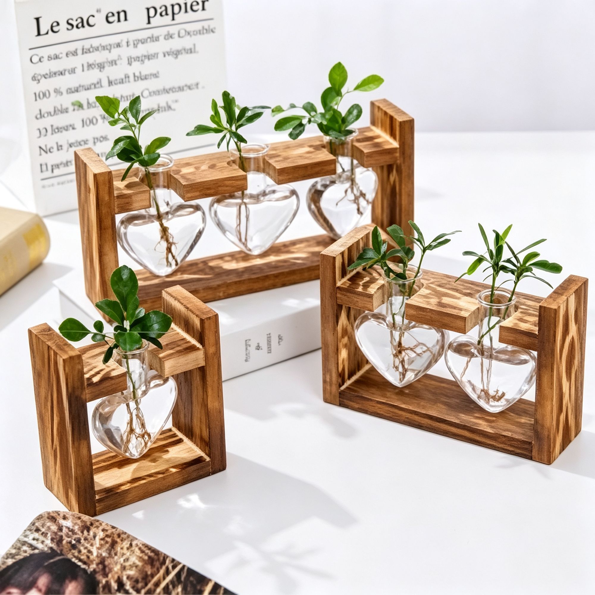 Double Round Glass Vases with Snap-Fit Wooden Stand view 6