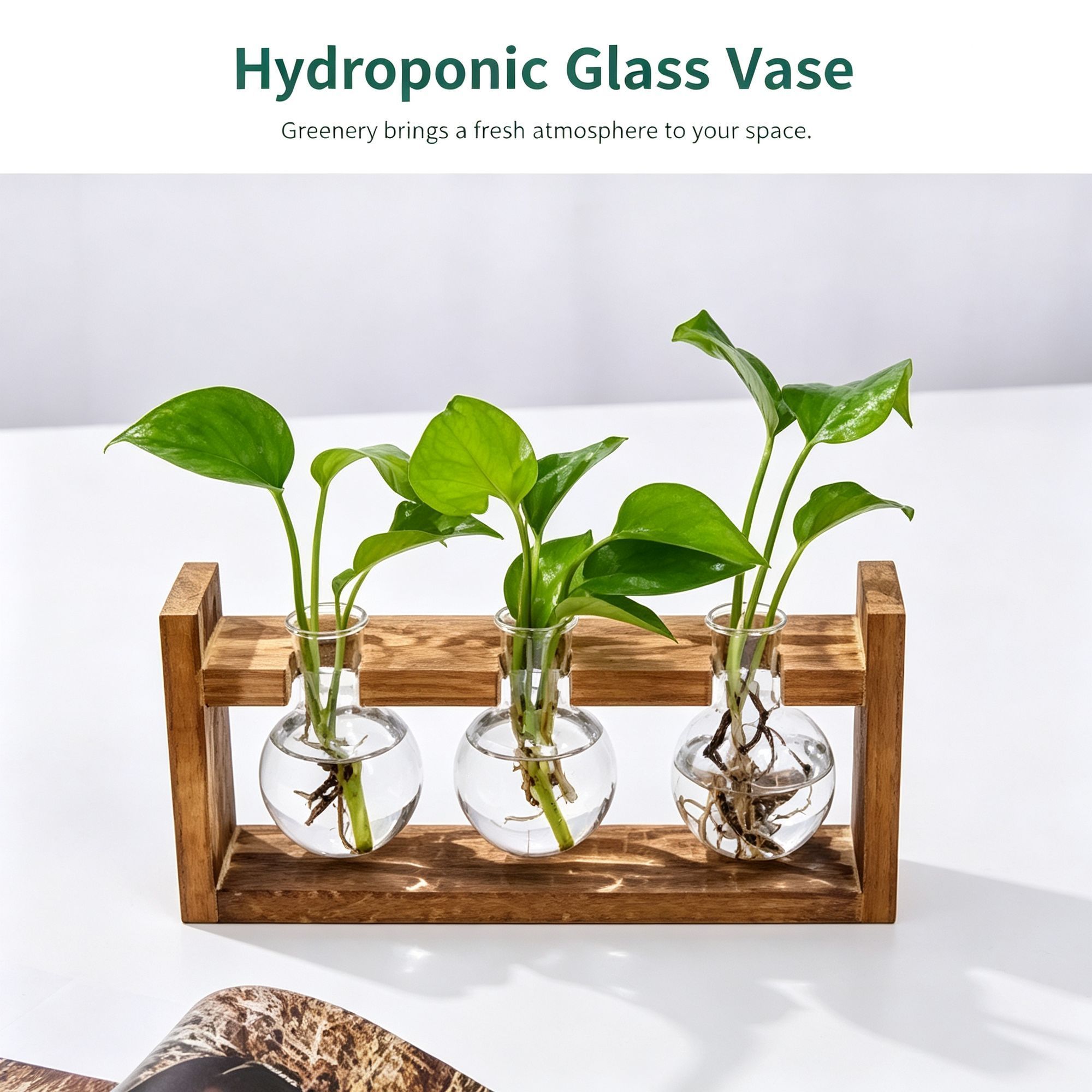 Double Diamond Faceted Glass Vases with Snap-Fit Wooden Stand view 3