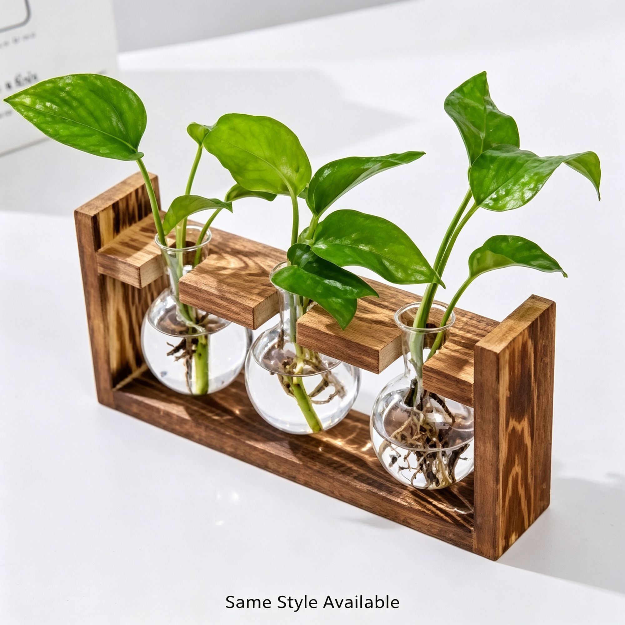 Double Heart Shaped Glass Vases with Snap-Fit Wooden Stand view 9