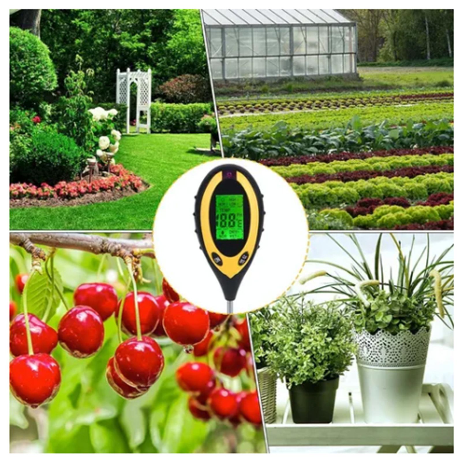 4 In 1 Soil Meter Temperature Sunlight Moisture PH Soil Tester for Family view 6