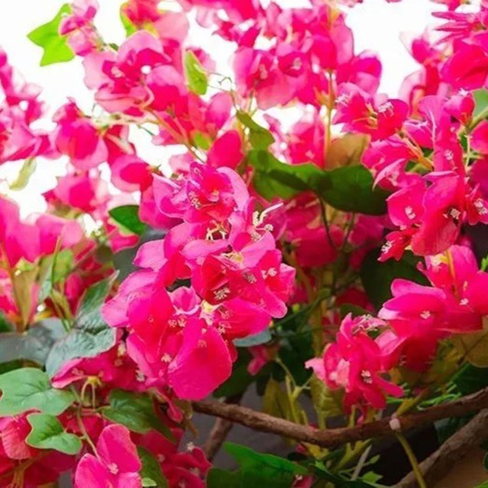 120cm Artificial Silk Bougainvillea Branches Faux Rose Red Bougainvillea with view 12