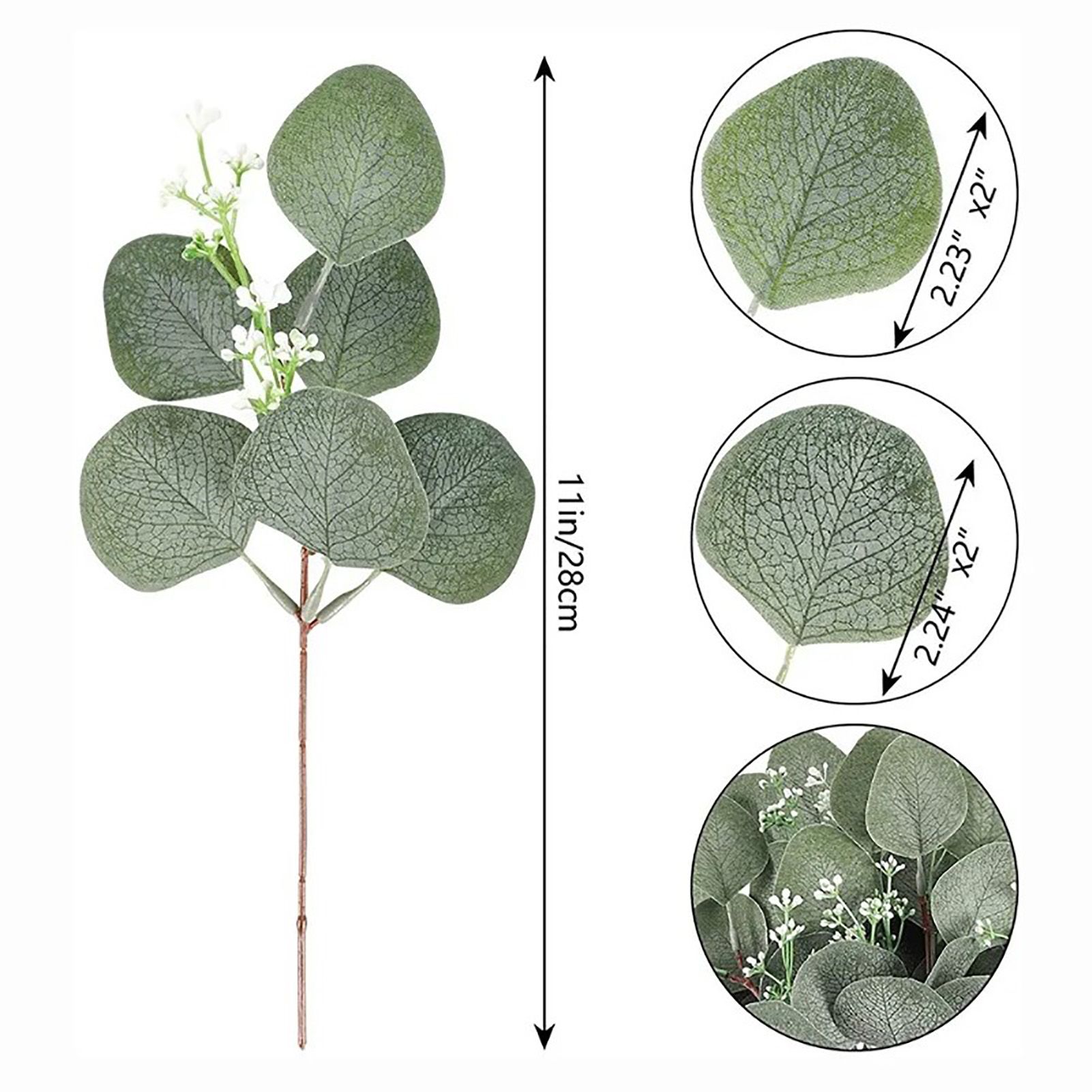 24Pcs Artificial Eucalyptus Stem Branches Round Eucalyptus Leaf with White view 5