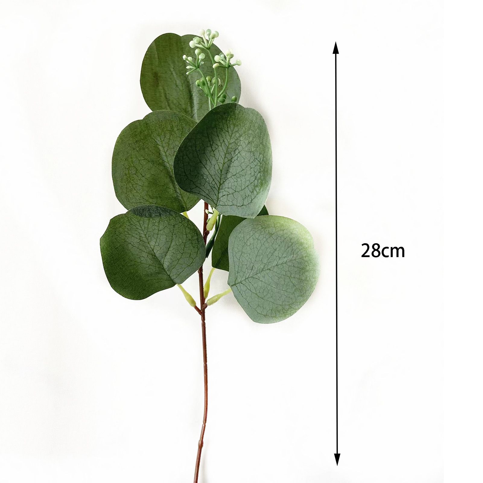 24Pcs Artificial Eucalyptus Stem Branches Round Eucalyptus Leaf with White view 6