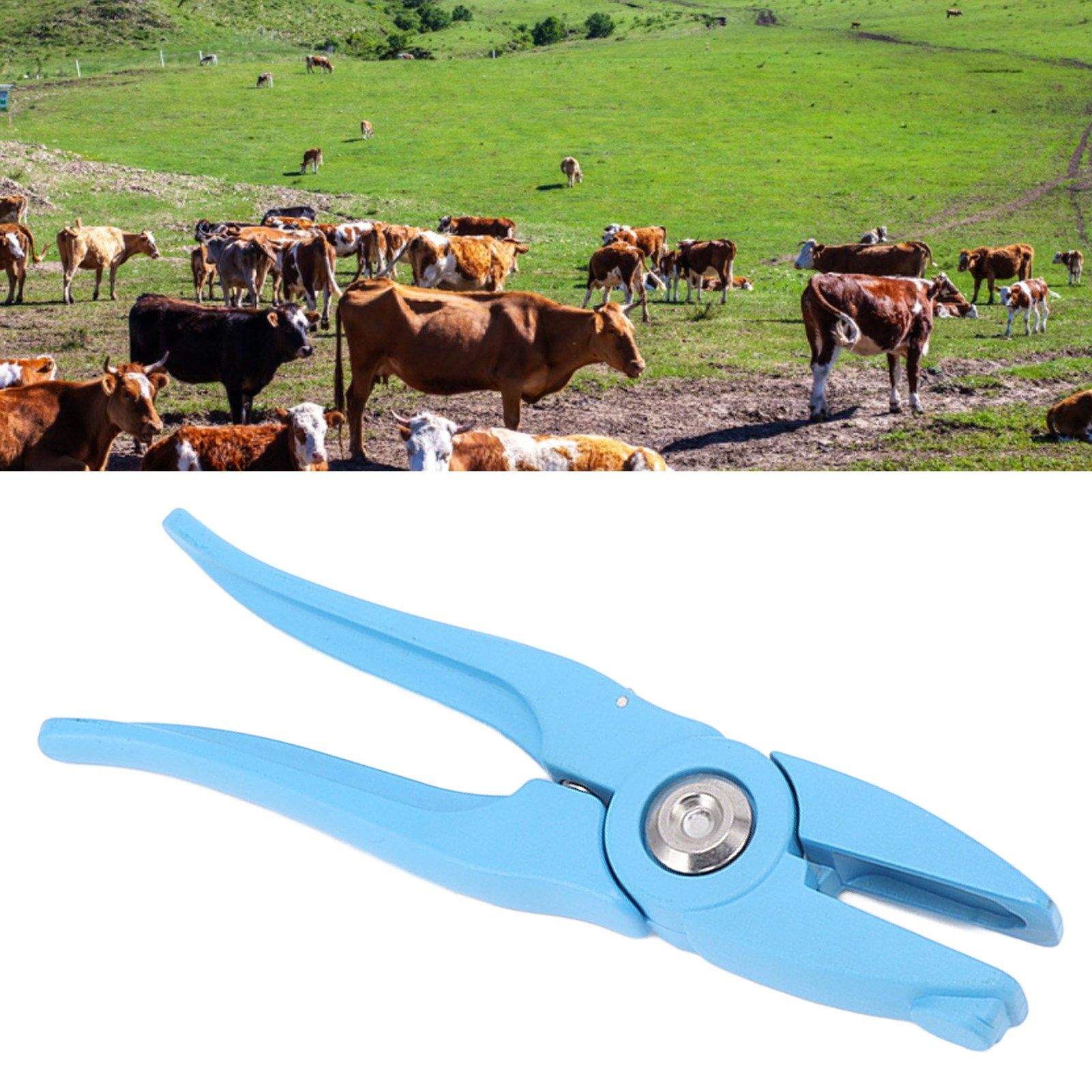 Ear Tag Applicator Universal Metal Animal Ear Tag Plier for Cow Sheep Goat Pig view 12