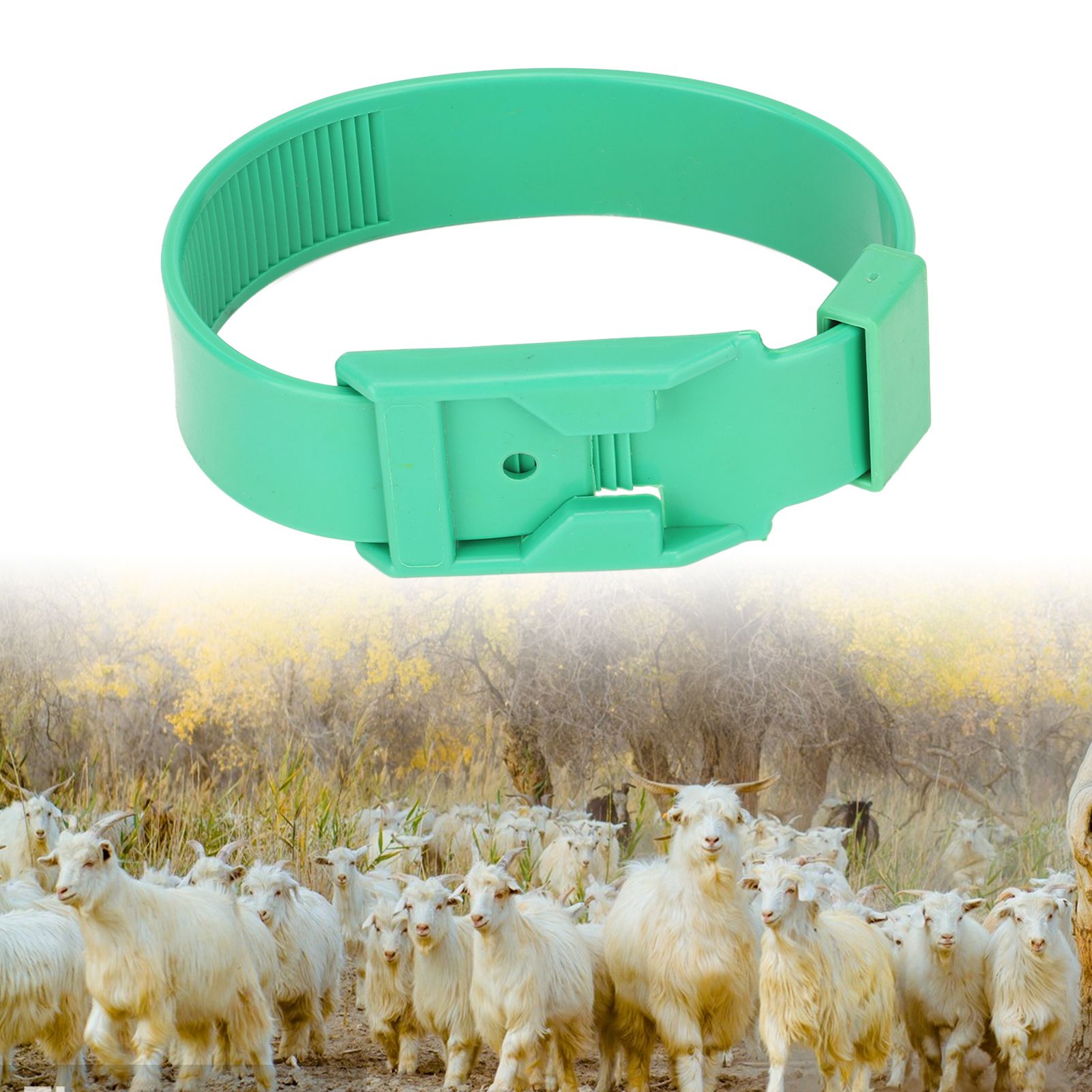 10Pcs Goat Collar Sheep Identification Bands Livestock Marking Ring Farming view 11