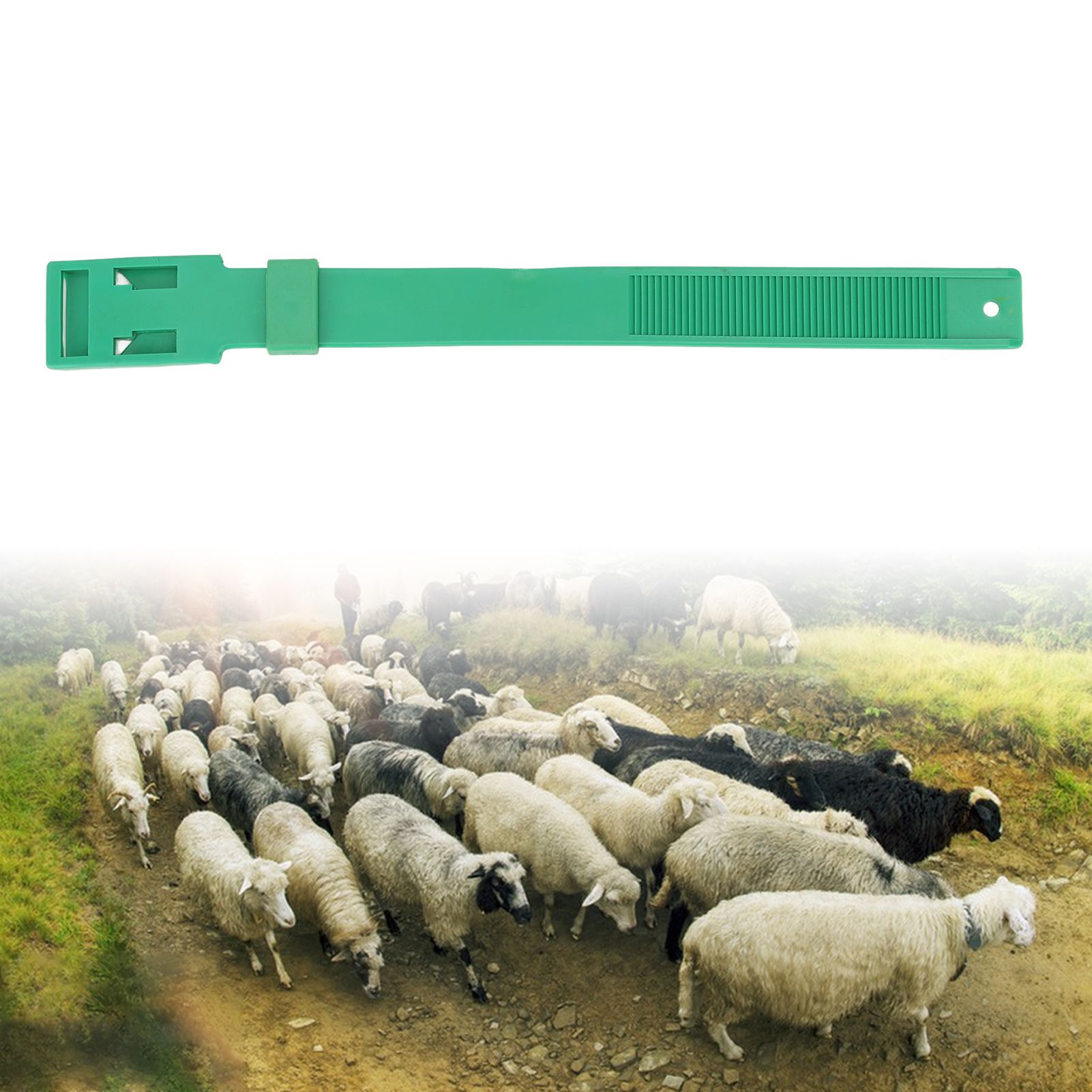 10Pcs Goat Collar Sheep Identification Bands Livestock Marking Ring Farming view 12