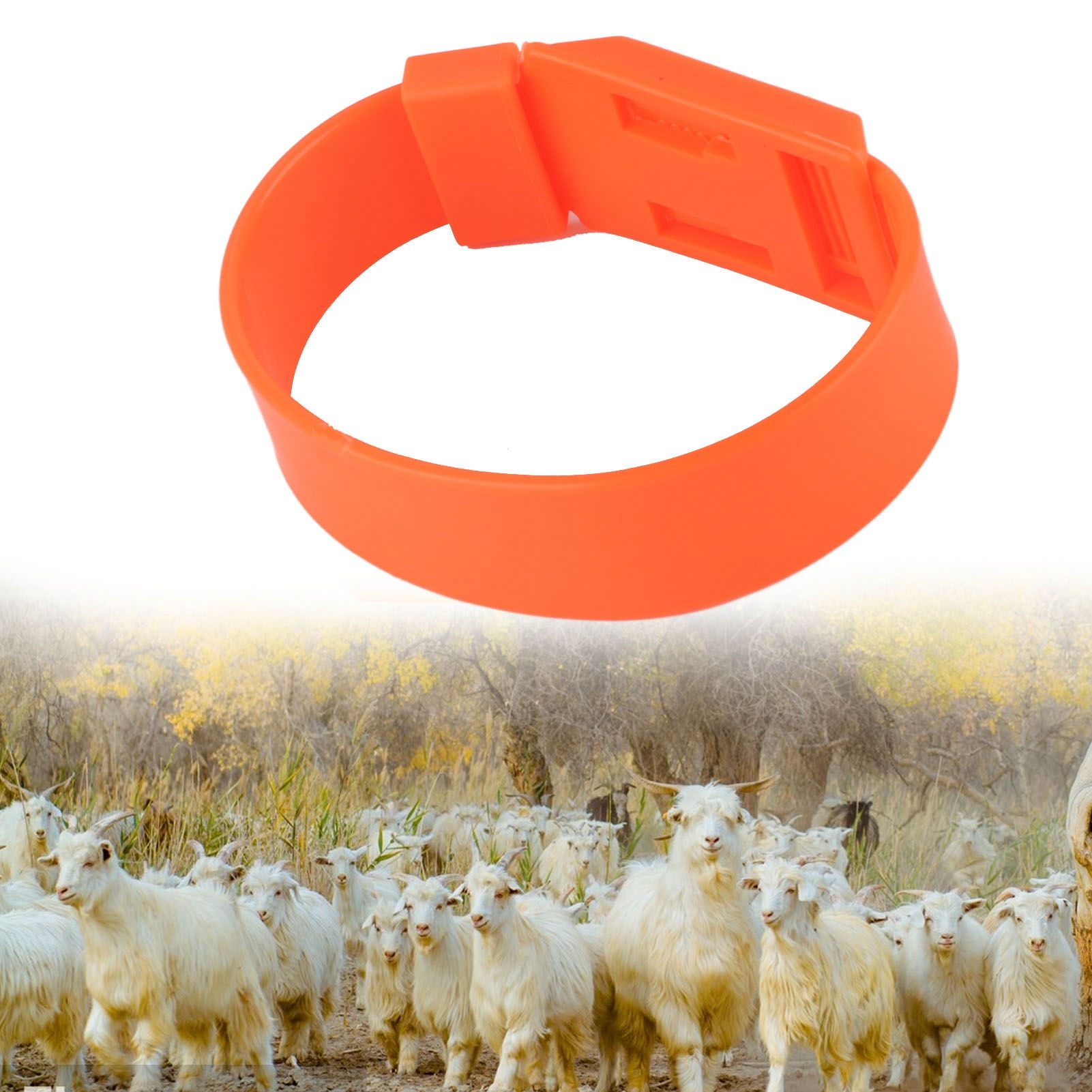 10Pcs Goat Collar Sheep Identification Bands Livestock Marking Ring Farming view 11