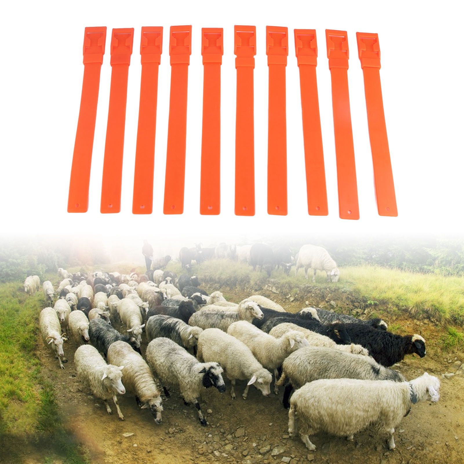 10Pcs Goat Collar Sheep Identification Bands Livestock Marking Ring Farming view 12
