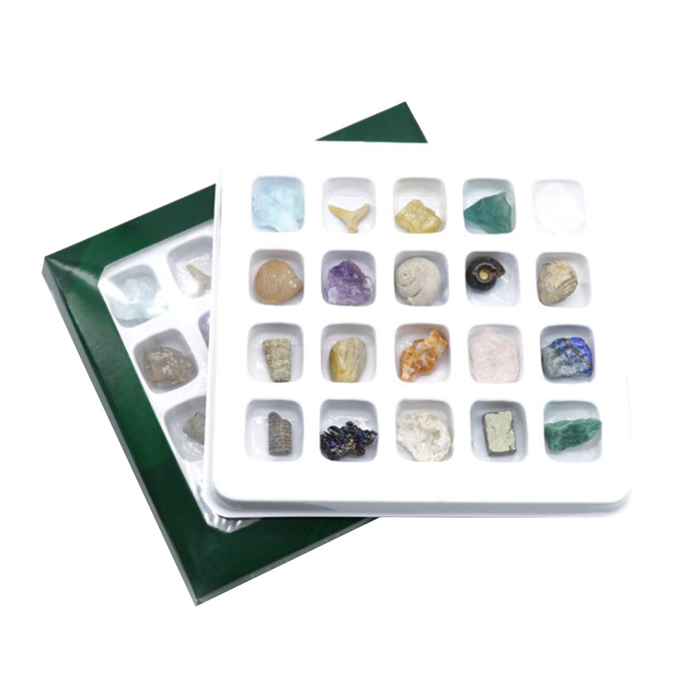 20 kinds of Mini Size Natural Crystal Agate Stone Rocks Minerals Fossils Kids