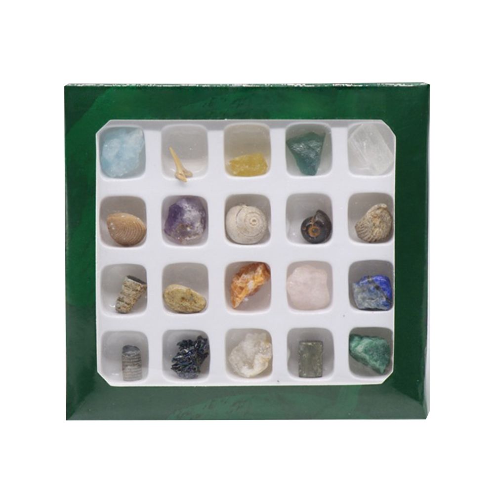 20 kinds of Mini Size Natural Crystal Agate Stone Rocks Minerals Fossils Kids view 2