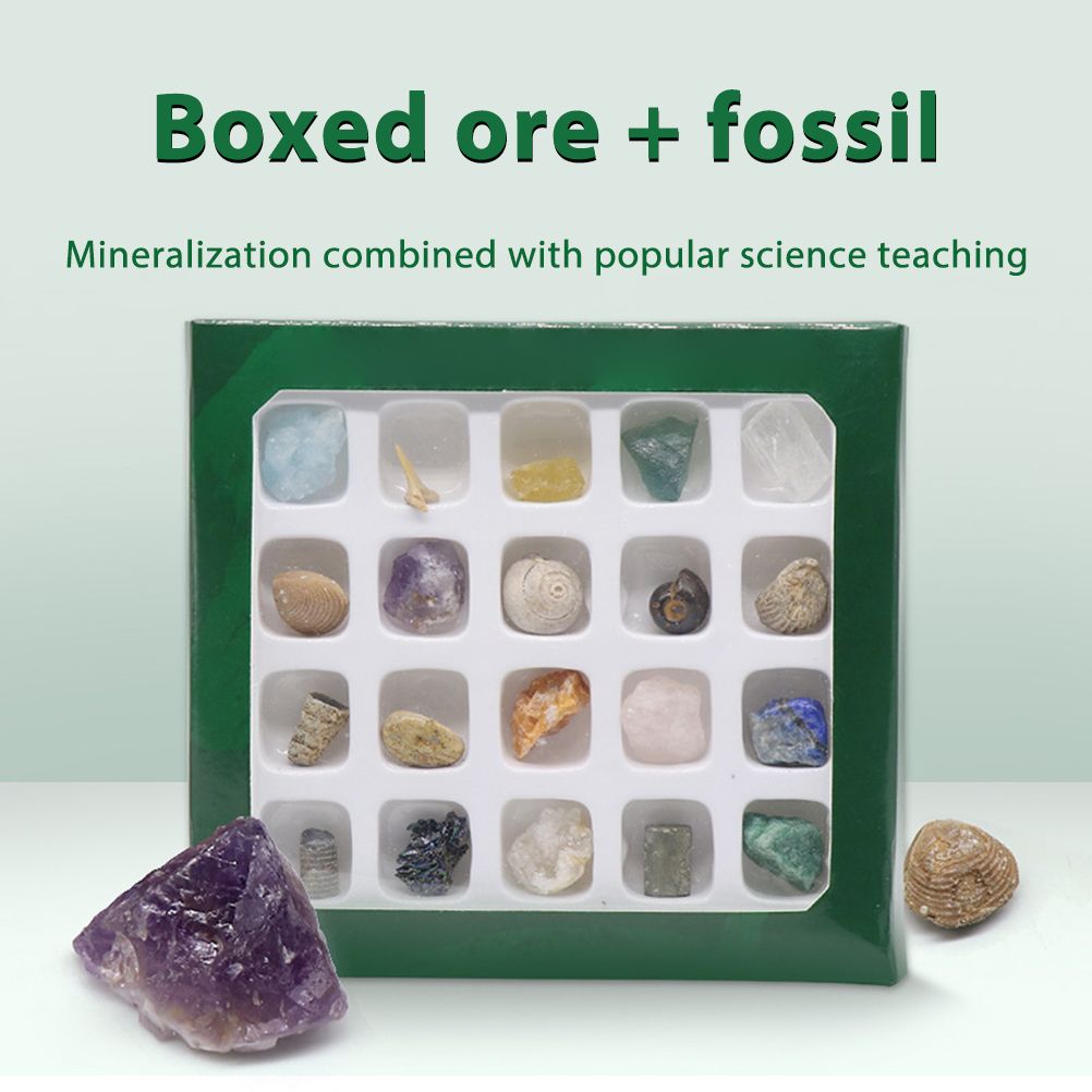 20 kinds of Mini Size Natural Crystal Agate Stone Rocks Minerals Fossils Kids view 4
