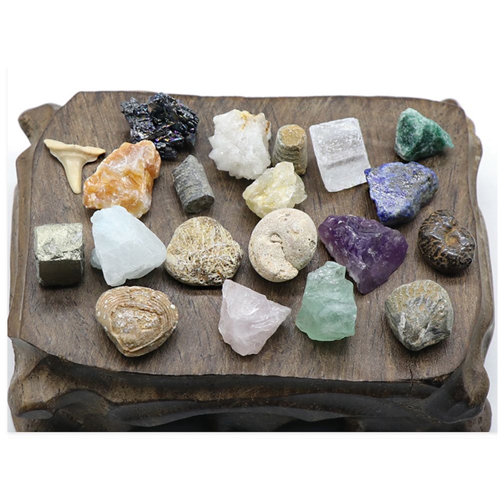 20 kinds of Mini Size Natural Crystal Agate Stone Rocks Minerals Fossils Kids view 12
