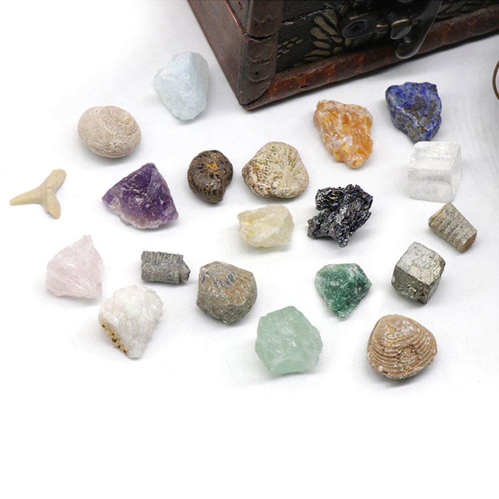 20 kinds of Mini Size Natural Crystal Agate Stone Rocks Minerals Fossils Kids view 13