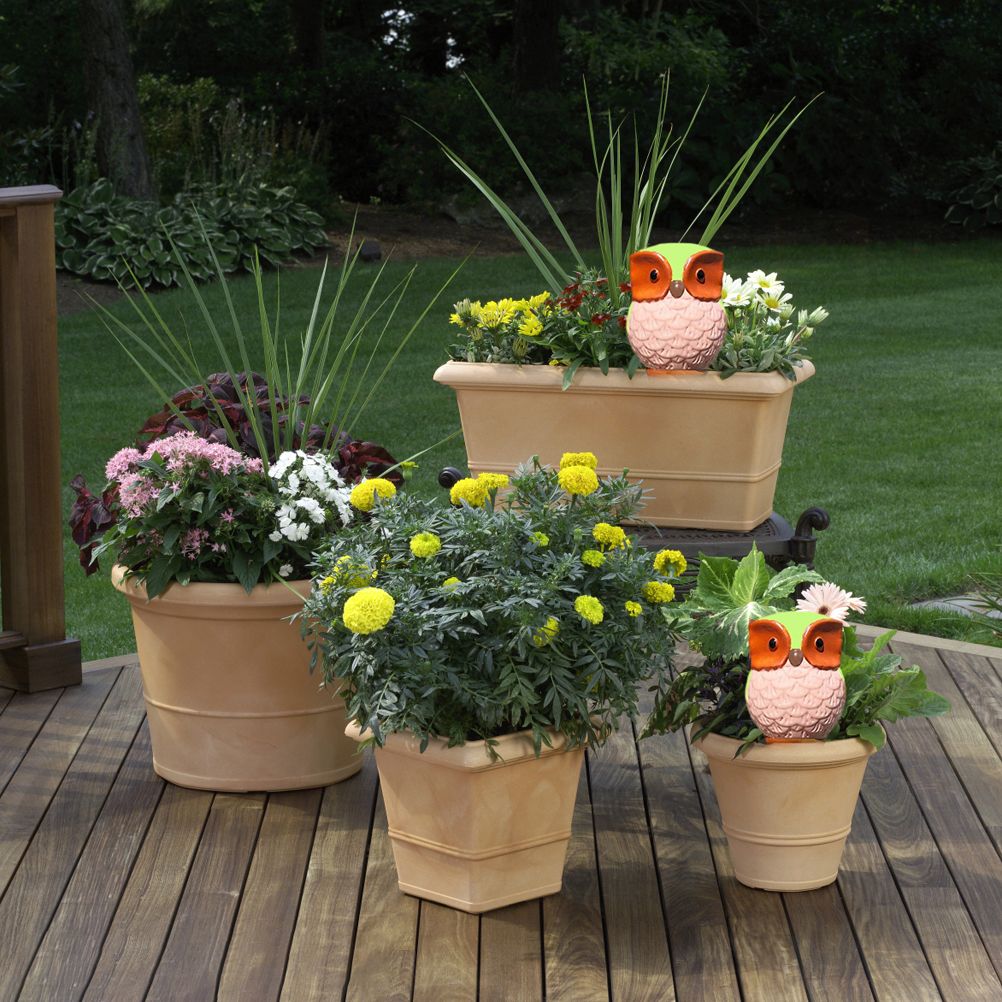 6Pcs Owl Plant Irrigation Automatic Watering Stakes Terracotta Spiral Devices view 12