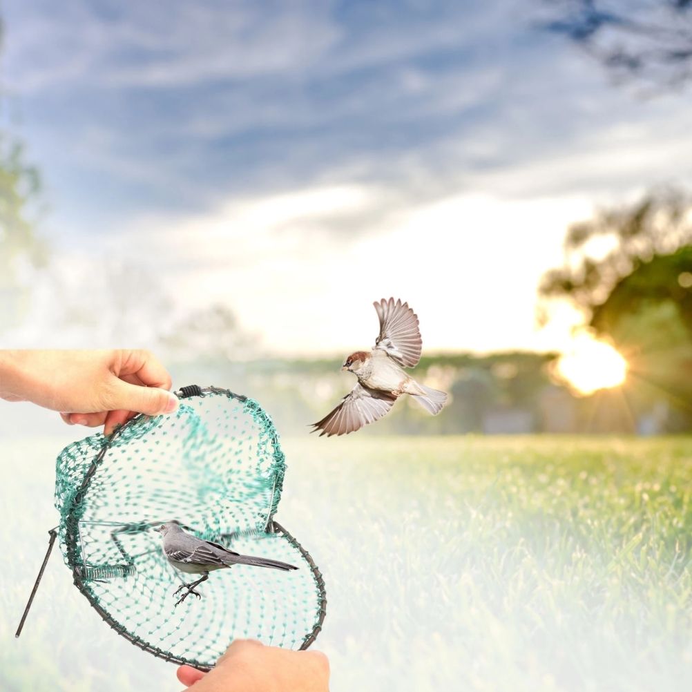 Catching Bird Net Pest Control Humane Live Trap Mesh for Sparrows Pigeons view 9